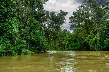 Image showing Landscape of beautiful channel, Refugio de Vida Silvestre Cano Negro, Costa Rica wilderness landscape.