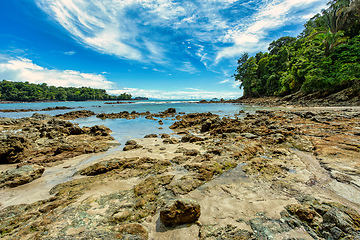 Image showing Playa in Manuel Antonio National Park, Costa Rica wildlife.