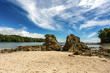 Image showing Playa in Manuel Antonio National Park, Costa Rica wildlife.