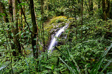 Image showing Waterfall in deep forest, Manuel Antonio National Park, Costa Rica wilderness landscape