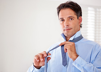 Image showing Portrait, tying tie and businessman dressing in home, job or entrepreneur preparation in the morning. Face, professional and getting ready for work, serious person wear necktie or consultant in house