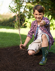 Image showing Thumbs up, portrait and child gardening with tree in nature for soil ecology and development education. Kid, happy and planting in yard and playing with success in environmental landscaping leisure