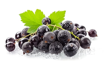 Image showing Group of Black Berries With a Single Leaf on Top