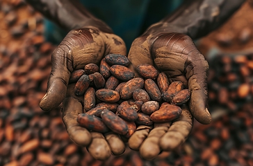 Image showing Person Holding Handful of Peanuts