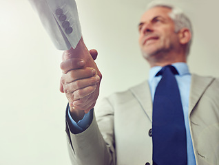 Image showing Handshake, senior businessman and agreement in partnership, teamwork and thank you for recruitment. Male person, low angle and deal for merger in workplace, collaboration and support in cooperation