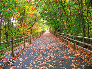 Image showing long wooded trail