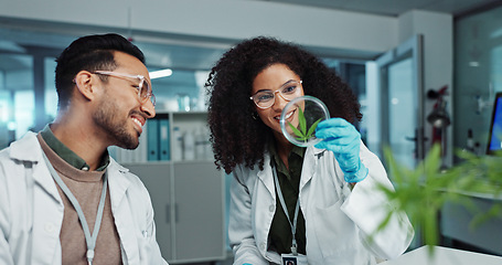 Image showing Scientist, team and analysis on cannabis in laboratory with leaf study, medical research and petri dish. Science, laughing and marijuana plant for medicine treatment, drugs and scientific experiment