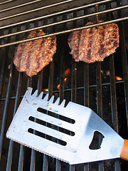 Image showing Grilled Burgers