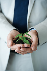 Image showing Businessman, plant and growth for investment, future and sustainability for collaboration. Entrepreneur, soil and closeup for green business, development and recycling for enterprise and nature