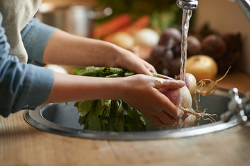 Image showing Hands, sink and water to clean vegetables in kitchen, health and hygiene with chef cooking food and closeup. Turnip, nutrition and organic for meal, vegan or vegetarian with person washing produce