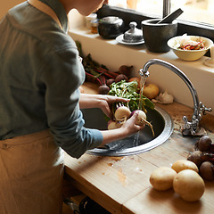 Image showing Hands, basin and water to clean vegetables in kitchen, health and hygiene with chef cooking food and catering. Turnip, nutrition with organic vegan or vegetarian meal with person washing produce