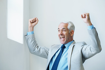 Image showing Mature, businessman and celebration for corporate achievement for loan approval, good news or feedback. Male person, arms up and happy boss at law office for victory, announcement or professional