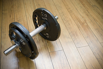 Image showing Free Freight Dumbells