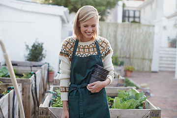 Image showing Gardening, seedling and woman with pot for plants for landscaping, planting flowers and growth. Agriculture, nature and person for outdoor environment, growing vegetables and nursery in backyard