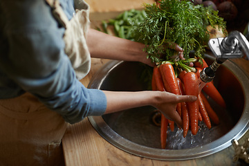 Image showing Hands, carrots and washing in sink as vegetable nutrition for wellness ingredient for healthy, salad or organic. Chef, water and clean in kitchen for meal preparation with recipe, vitamins or fibre