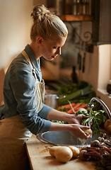 Image showing Washing, vegetables and woman with healthy food for hygiene, cooking or preparation by sink in kitchen. Person with water and green onion to start meal, dinner or organic vegan and vegetarian lunch