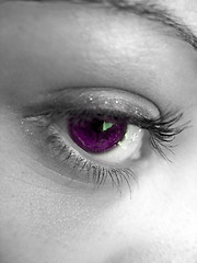 Image showing Pretty Purple Eye