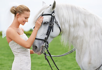 Image showing Bride, field and horse with face, happiness and smile for nature, connection and celebration. Woman, animal and uk countryside for wedding, love and beauty with summer, meadow and horse riding