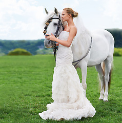 Image showing Bride, horse and field with nature, event and animal for marriage, celebration and happiness. Woman, uk countryside and meadow with spring, sky and grass for wedding, love and relationship with smile