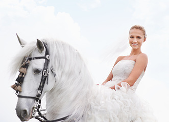 Image showing Bride, woman and riding with horse or portrait outdoor with happiness for celebration, marriage and confidence. Wedding, person and stallion on lawn in field with smile, dress and animal at ceremony