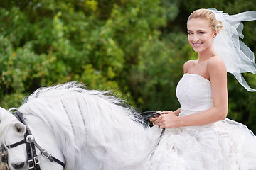 Image showing Wedding, bride and riding with horse or portrait outdoor with happiness for celebration, marriage and confidence. Woman, person and stallion on lawn in field with smile, dress and animal at ceremony