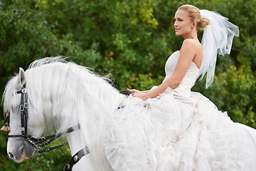Image showing Wedding, woman and riding with horse outdoor or thinking for celebration, marriage and confidence in countryside. Bride, person and stallion on lawn in field with smile, dress and animal at ceremony