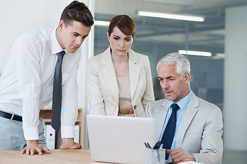 Image showing Business people, laptop and discussion on proposal in boardroom, communication and meeting in office. Senior manager, employees and technology for assistance in training, mentor and advice for work