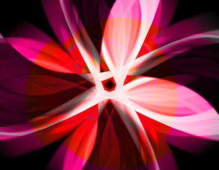 Image showing Flower Abstract