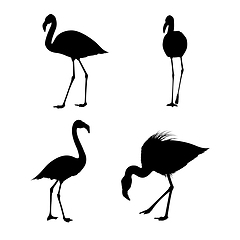 Image showing Flamingo Silhouette Set