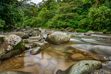 Image showing The Orosi River, Tapanti - Cerro de la Muerte Massif National Park