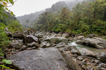 Image showing The Orosi River, Tapanti - Cerro de la Muerte Massif National Park