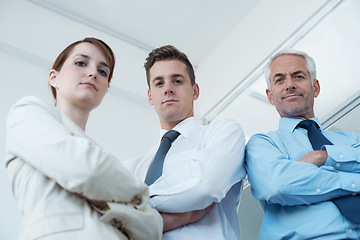 Image showing Professionals, portrait and confidence for collaboration in office, cooperation and teamwork in workplace. Coworkers, together and pride for company vision, low angle and solidarity by accountants