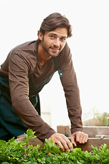 Image showing Portrait, gardener and smile with vegetables in box for cultivation, harvest or growth in greenhouse. Man, happy and agriculture in nursery for development, gather or picking of organic produce