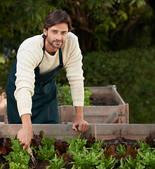 Image showing Portrait, gardener and smile with lettuce for harvest, growth or production in outdoor nursery. Man, leaning and boxes with vegetables for agriculture, cultivation or picking in organic shop