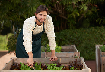 Image showing Man, smile and work in garden with plant box for growth, development and nurture of vegetables in Australia. Male person, happy and farming outdoors for hobby, food or production of agriculture