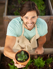 Image showing Man, smile and plant from above for gift, appreciation or sale at store from high angle. Male gardener, happy and holding greenery in pot for decoration, growth or cultivation in nursery shop