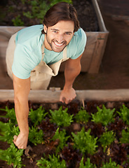 Image showing Man, smile and garden with plants in greenhouse for growth, development and sustainability from high angle. Male person, happy and greenery in nursery for hobby, recreation or agriculture work