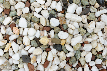 Image showing Assortment of smooth multi-colored pebbles covering the ground i