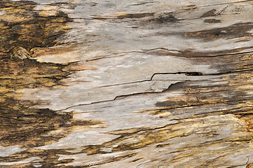 Image showing Aged wooden planks showcasing natural weathered textures and pat