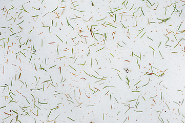 Image showing Freshly fallen snow blanketed with scattered pine needles during