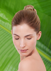 Image showing Woman, skincare and wellness with leaves, palm tree and sustainability for organic cosmetics. Girl, person or model with plants for thin, touch or glow with dermatology for facial skin for beauty