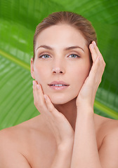 Image showing Woman, skincare and portrait with beauty, plants and sustainability for organic cosmetics. Girl, person or model with palm tree for wellness, touch or glow with dermatology for facial skin by leaves