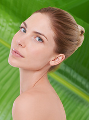 Image showing Woman, beauty and portrait with leaves, palm tree and sustainability for organic cosmetics. Girl, person or model with plants for wellness, transformation or glow with dermatology for facial skincare