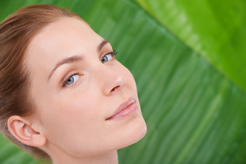 Image showing Woman, skincare and portrait with leaves, health and sustainability for organic cosmetics. Girl, person or model with palm tree for wellness, touch or glow with dermatology for facial skin by plants