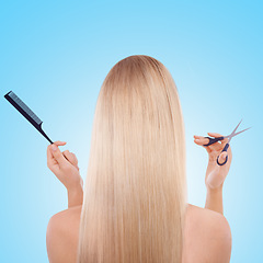 Image showing Woman, back and studio with hair, scissors and comb with grooming tools by blue background. Girl, person and model with hairdresser equipment for hairstyle, cutting and cosmetics for transformation