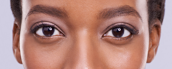 Image showing Eyes, beauty and woman with lashes and microblading, cosmetics and contact lenses for vision on white background. Mascara, eyeshadow makeup with eyecare and cosmetology in portrait with optometry