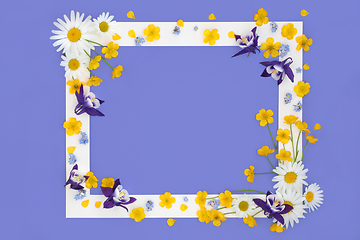 Image showing Spring Flower and Wildflower Background Frame