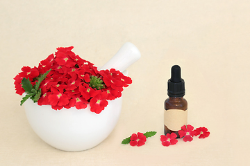 Image showing Red Verbena Flowers with Aromatherapy Essential Oil  