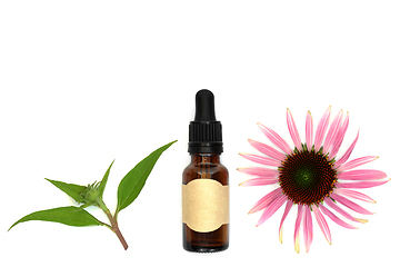 Image showing Echinacea Healing Remedy for Cough Cold and Bronchitis  