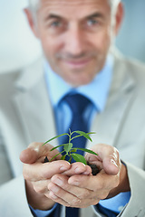 Image showing Portrait, business and man with soil, plants and finance with growth and agriculture with sustainability. Face, mature person or entrepreneur with accountant or corporate with startup or eco friendly